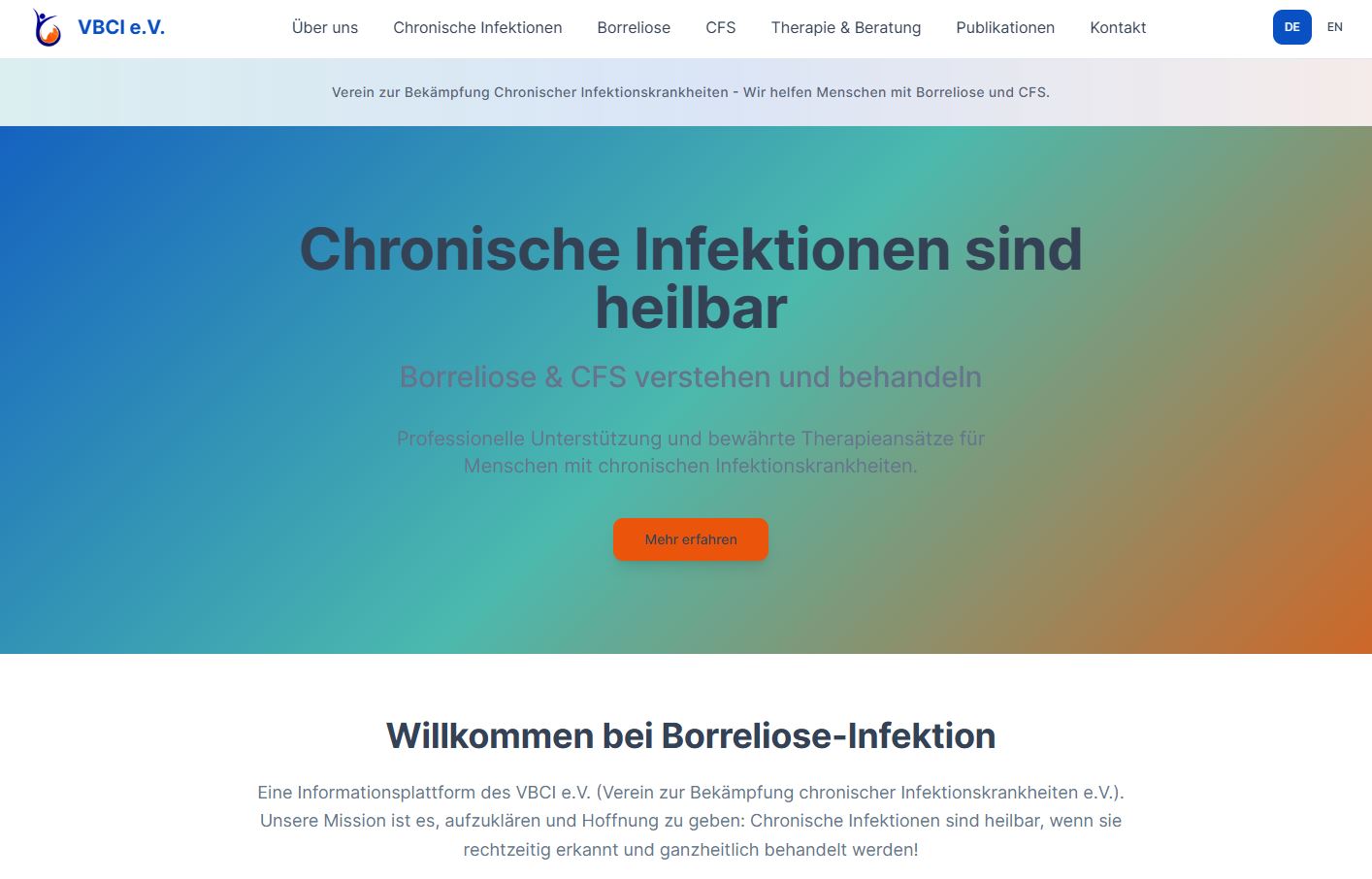 Borreliose Infektion website screenshot Borreliose Infektion website screenshot