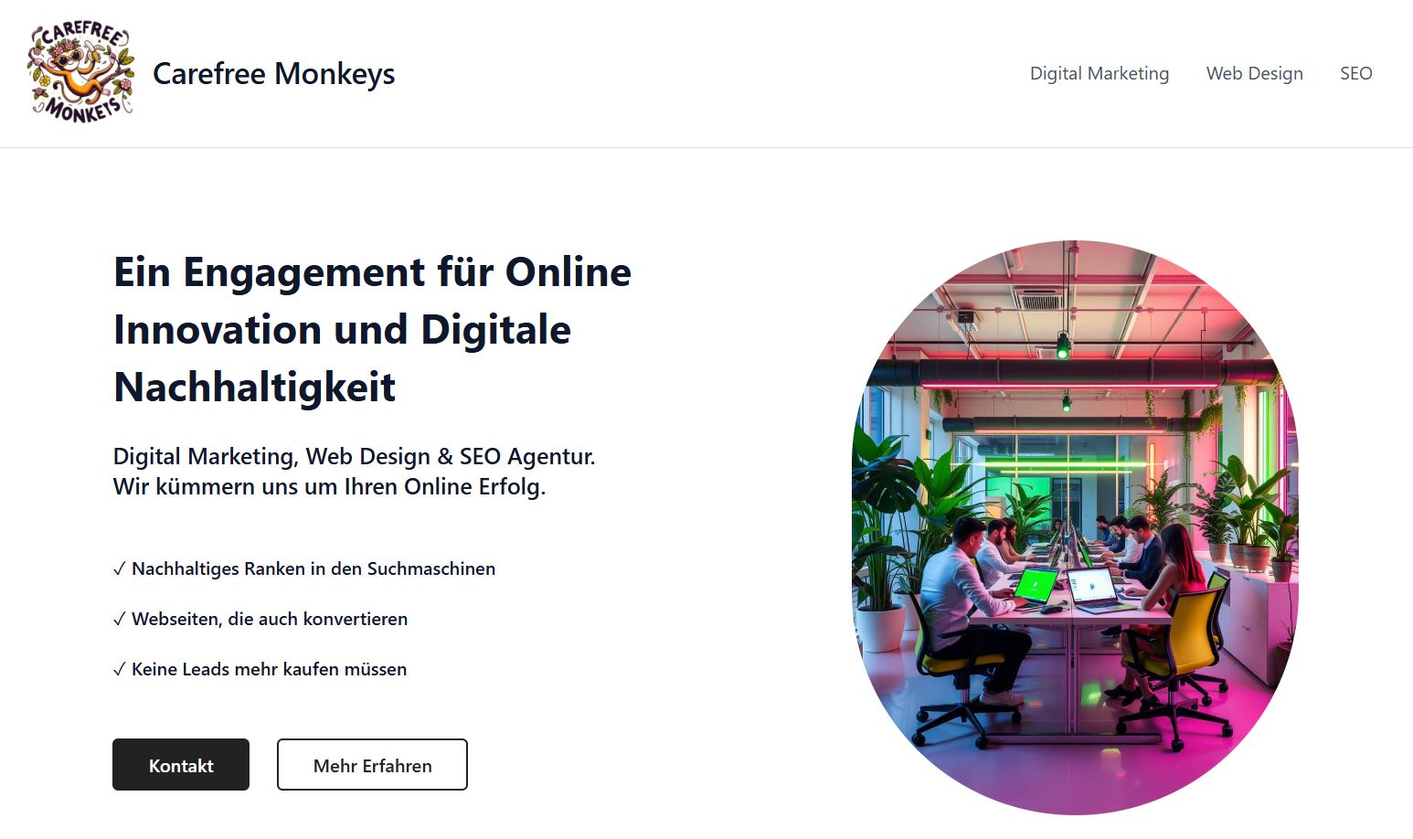 Olesiv website screenshot Olesiv website screenshot