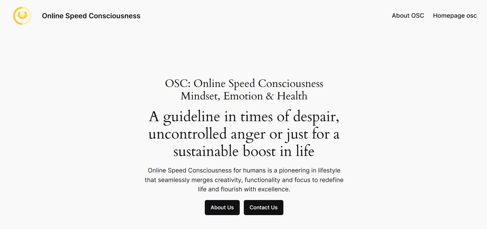 Online Speed Consciousness website screenshot Online Speed Consciousness website screenshot