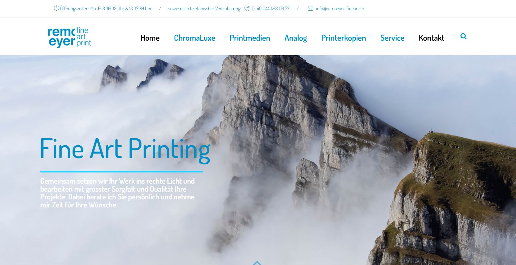 Remoeyer Fine Art website screenshot Remoeyer Fine Art website screenshot